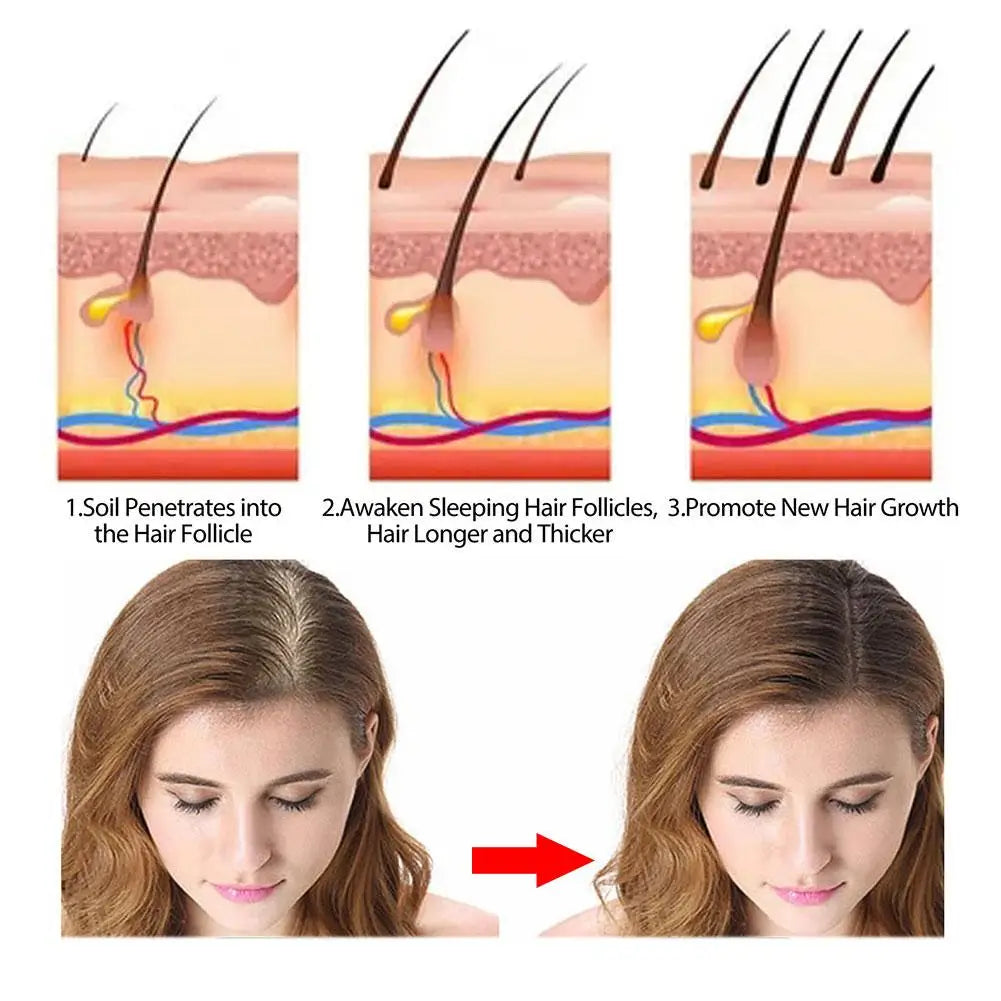Shampoo bars with ingredient and hair washing graphics