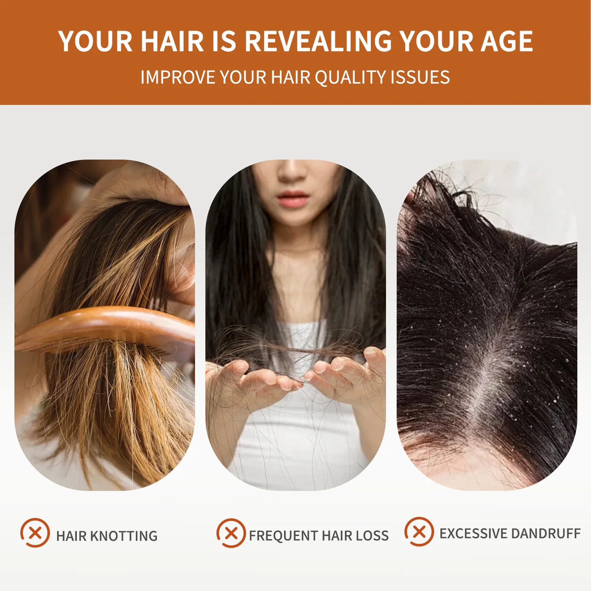Shampoo bar with hair care, ingredient and application graphics