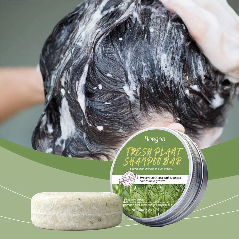 Shampoo bars with ingredient and hair washing graphics