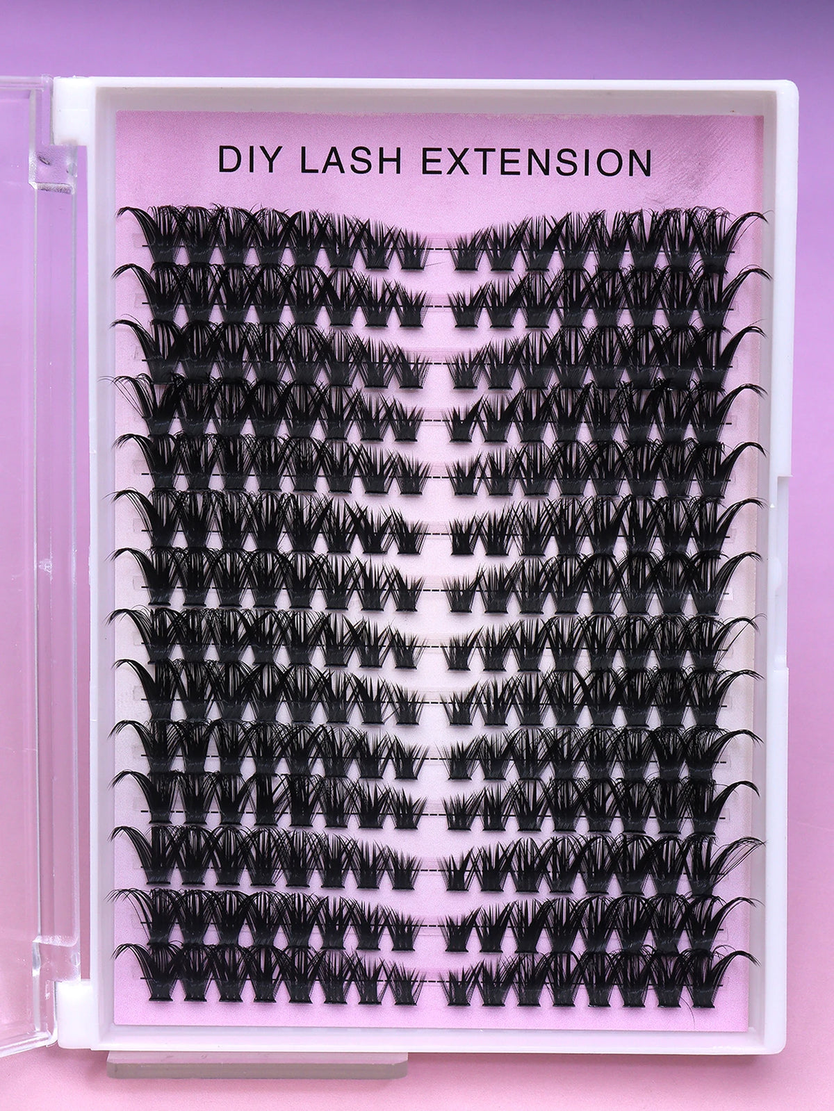 False eyelash clusters arranged in rows in a tray
