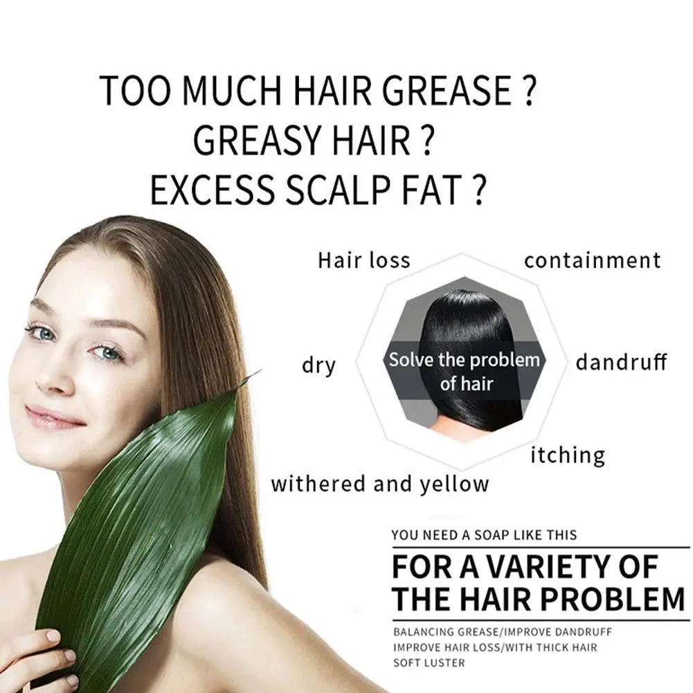 Shampoo bars with ingredient and hair washing graphics
