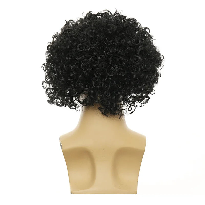 Curly costume wig shown on a model or mannequin